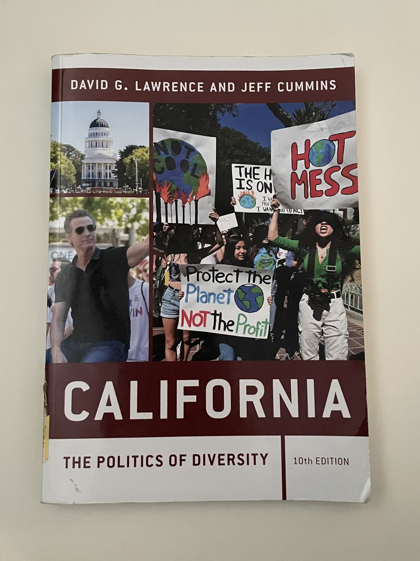California The Politics Of Diversity (10th Edition)