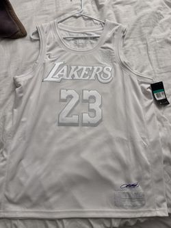 Nike NBA LA Lakers MVP LeBron James Jersey 