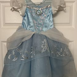 Cinderella Dress Costume