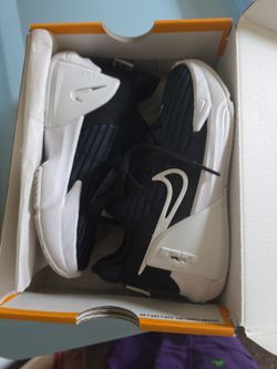 Lebron shoes