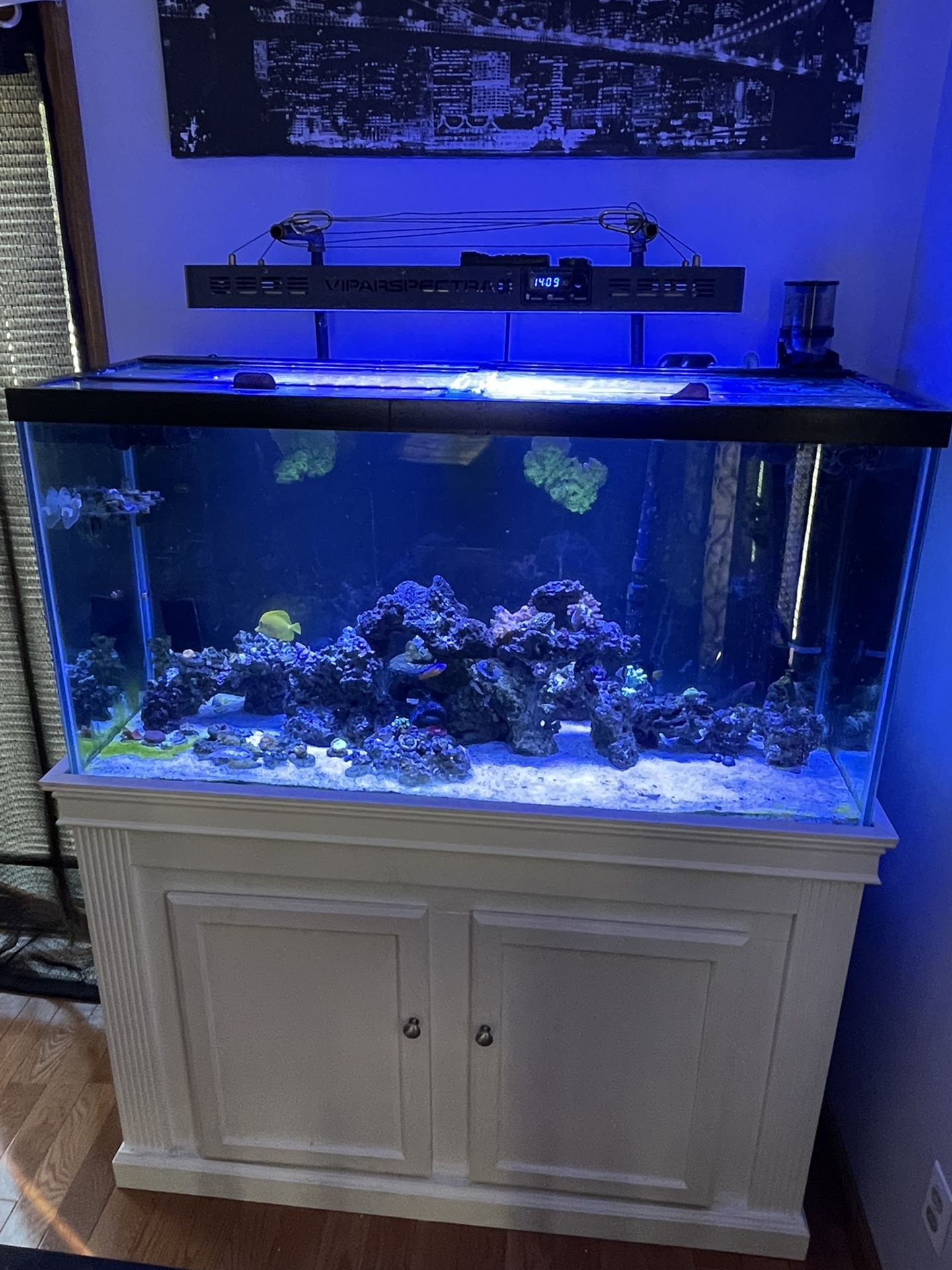 90 Gallon Saltwater Tank W/ Everything included
