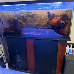 75 gallon fish tank
