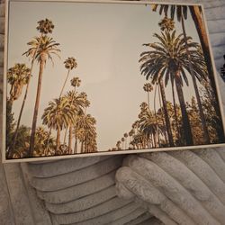Palm Tree Canvas