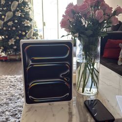 iPad Pro 13 Inch M4 256 Gb WiFi Cellular 