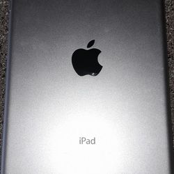  iPad iPhone 2