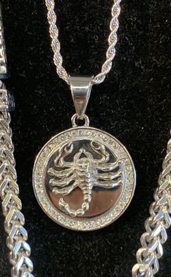 Stainless Steel Rope Chain and Scorpion Charm