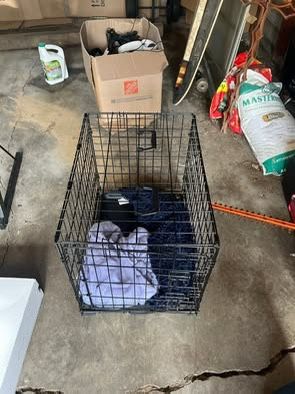 Metal Pet Crate W Handles