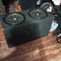 10 In Kickers With Box 100