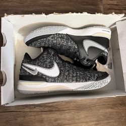 Nike zoom LeBron NXXT gen size 12