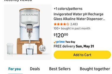 Alkaline water dispenser filter system