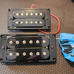 Epiphone Humbucker Pickup Set 