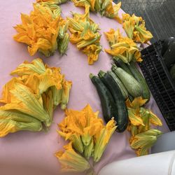 Flor De Calabaza 10 Flores Por $1 