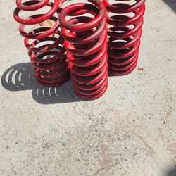 Saleen Coils 94-04 Mustang 