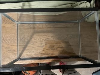 Medium fish tank