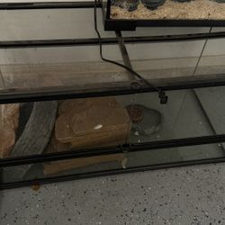 Reptile Tank Exo Terria 40 Gallon 