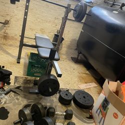 Golds Gym Xr 6.1 Weight Bench Read Description