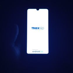 Government Android Phone