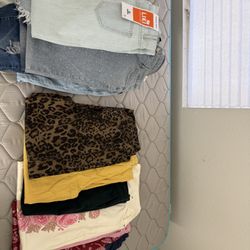 Plus Size Women’s Pants 