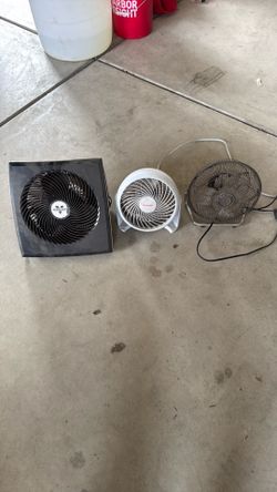 Fans