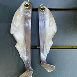 Citizen 6 Working Class Zero