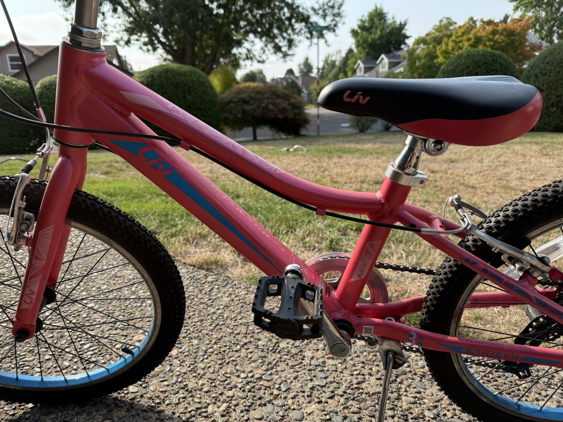 Liv Enchant 20” Girls Bike