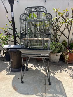 Bird cage