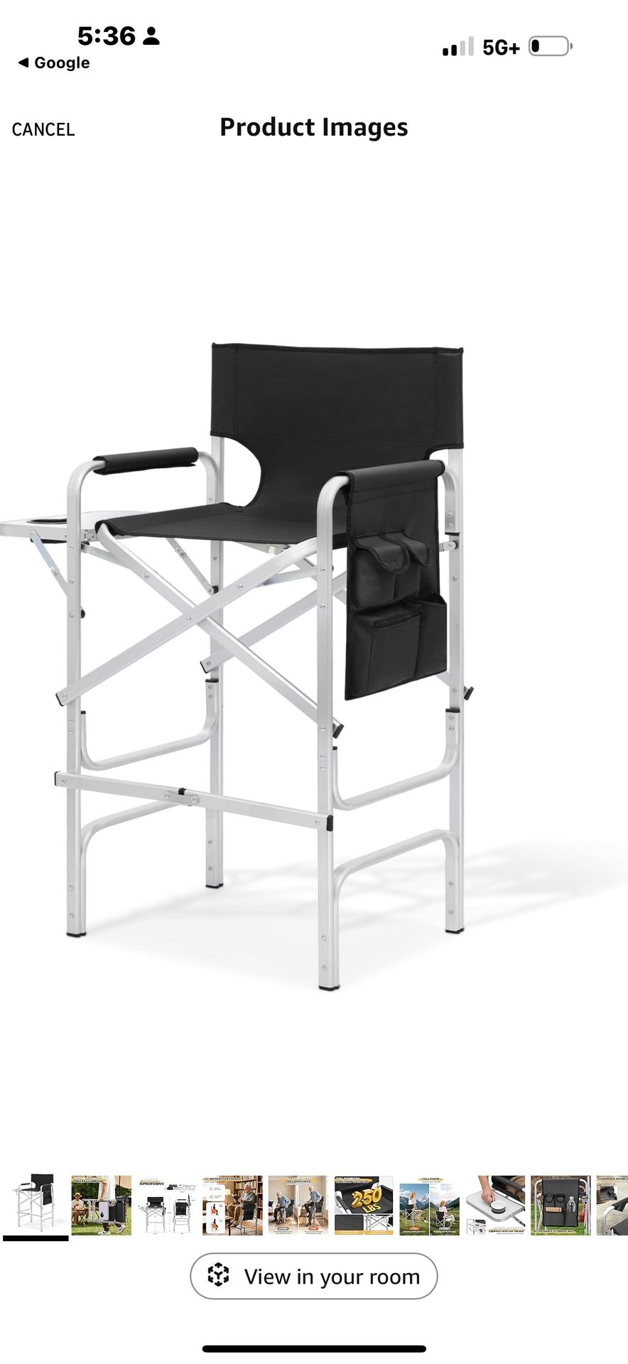 director chair