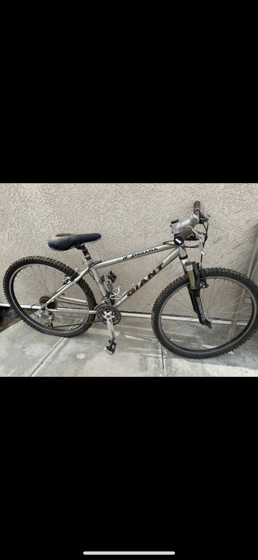 Giant Iguana Mountain Bike