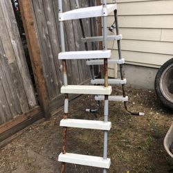 Pool Ladder 