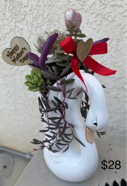Mother’s Day succulent
