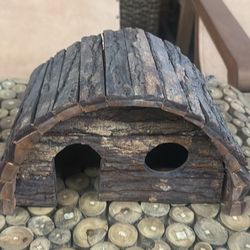 Bird tree house