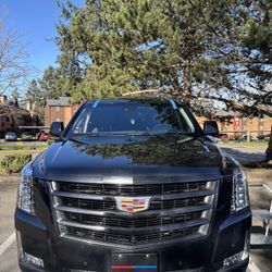 Windshield Car Door Replacement