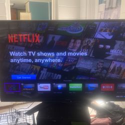 Tv 63” Screen PC Compatible 