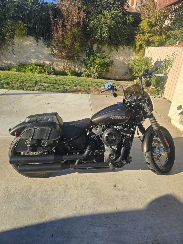 2019 Harley Davidson FXBB Street Bob
