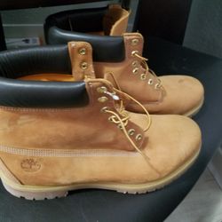 Brand New Timberlands Size 15