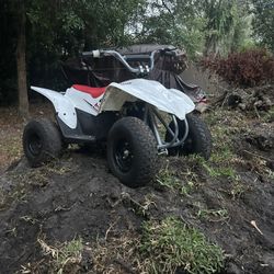 Razor Quad 500