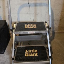 Little giant. Ladder 