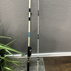 Fishing Rod And Reel 
