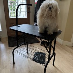 Foldable Pet Grooming Table