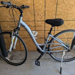 Fuji Cruiser Bicycle