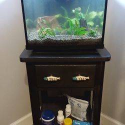 6.8 Gal Plant & Shrimp Aquarium 