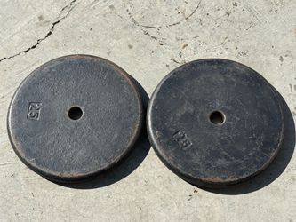 25lb standard plate set