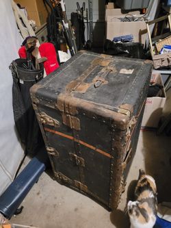 travel trunk