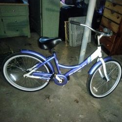 Shogun Cruiser  $300 Bike$45