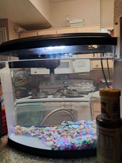 Fish tank