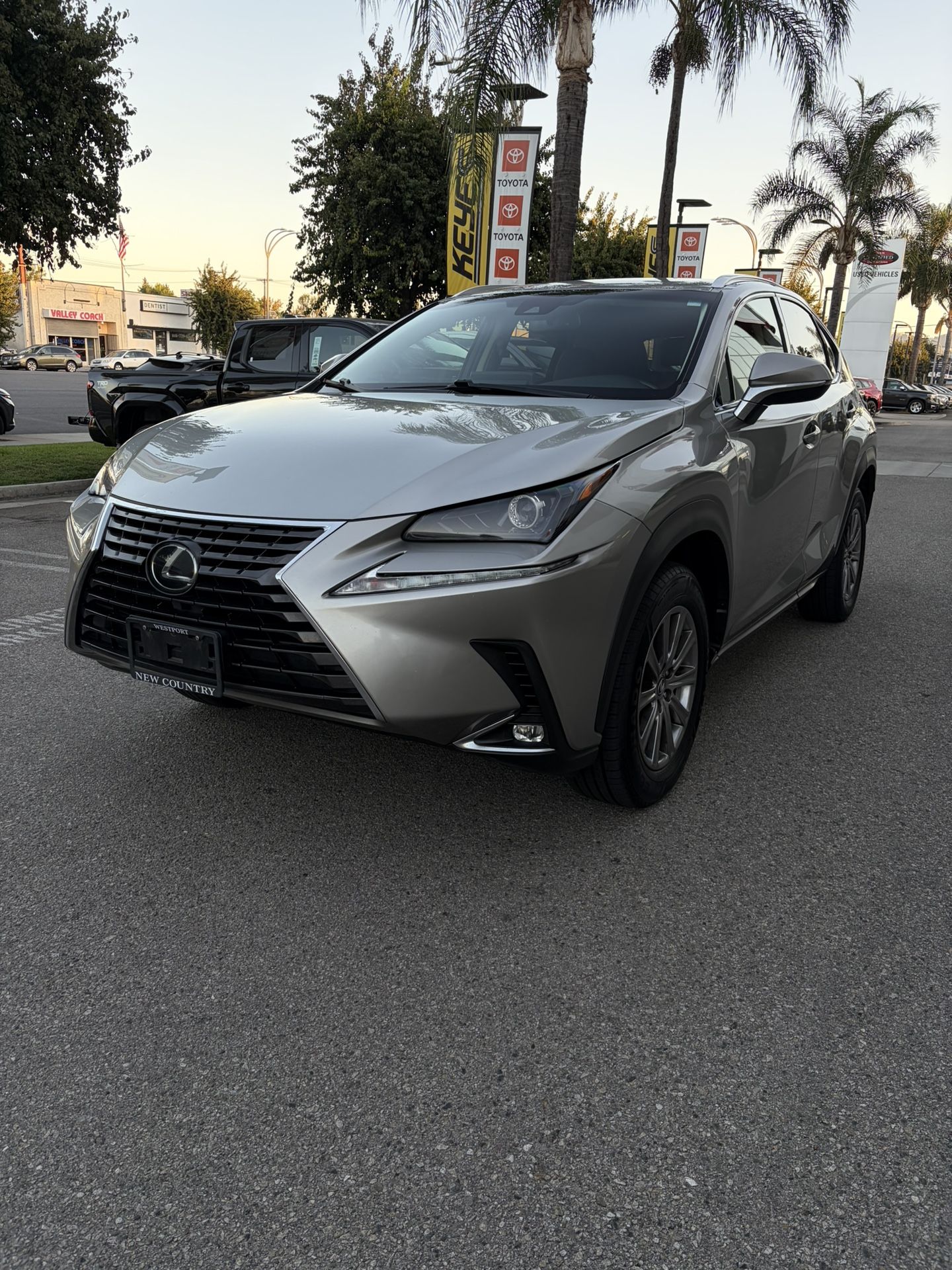 2019 Lexus NX 300