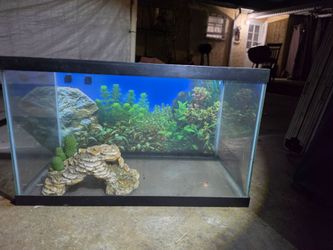 Tank for reptiles or turtles