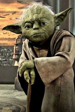 YODA PICTURE