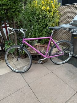 Purple Mountain Bike