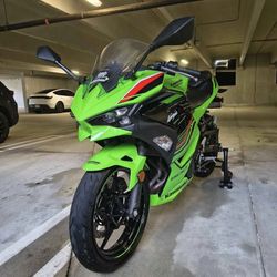 2024 Kawasaki Ninja